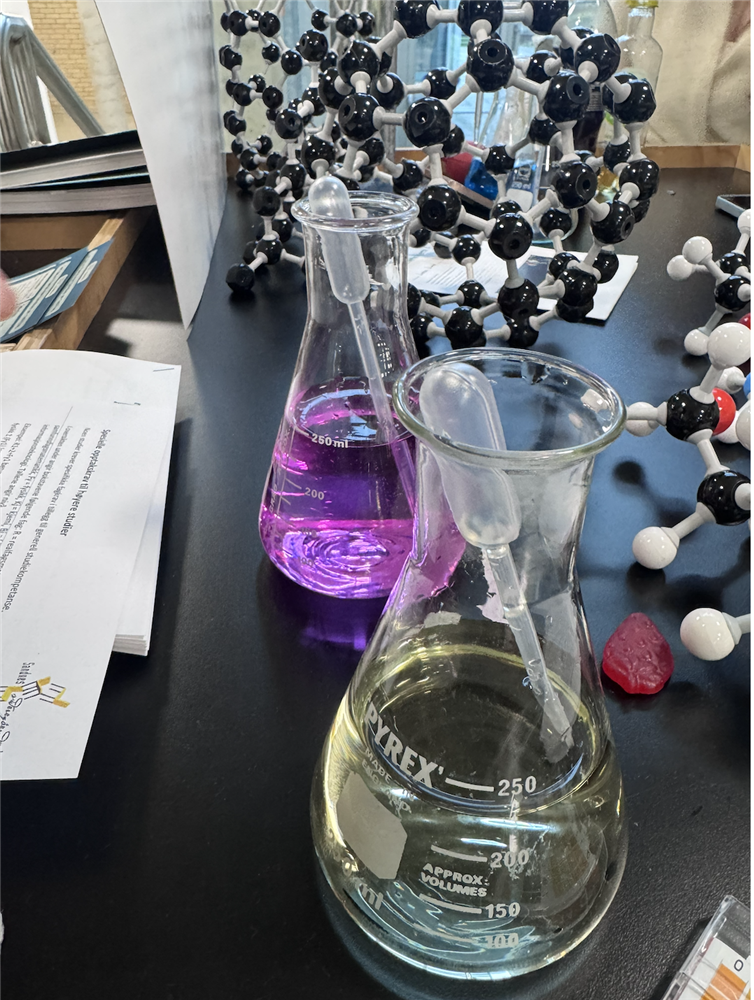 Reagensrør. Dna-  - Klikk for stort bilde